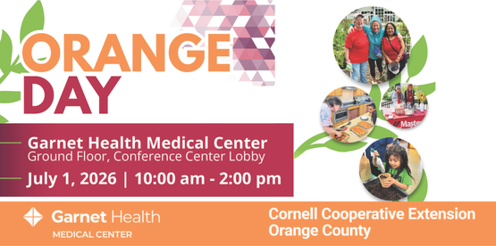 orange day