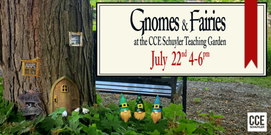 Gnome banner