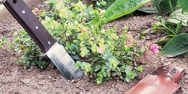 Soil Health Workshop