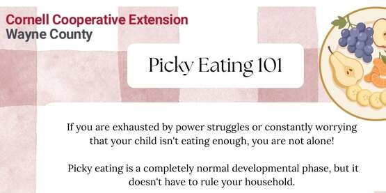 Picky Eating 101 - July 9th