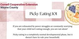 Picky Eating 101 - July 9th