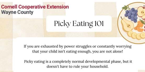 Picky Eating 101- July 15th 