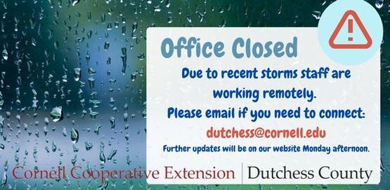 Office closed 07062026