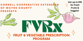 FVRx program at Lyons Public Library 