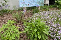 Native plant garden with hand-painted sign