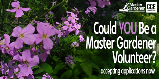 Master Gardner Application Banner