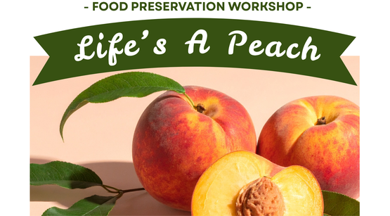 Life is a peach workshop 2026