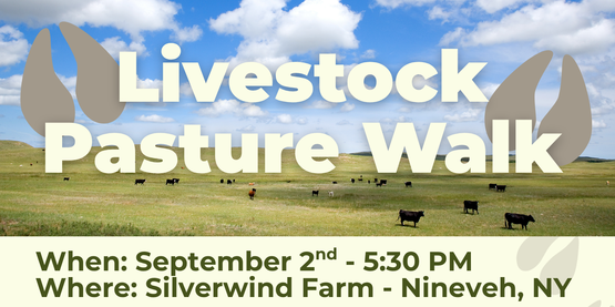 FA 26 Livestock Pasture Walk