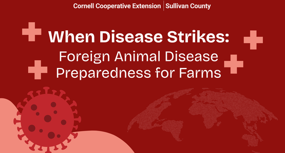 BANNER When Disease Strikes