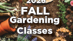 Fall Gardening Classes