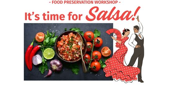 Its time for Salsa workshop 2026