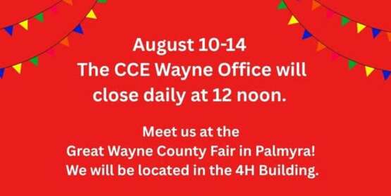 CCE closing 12 noon during fair week