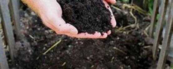 Madison County Solid Waste and Madison County Cooperative Extension are joining forces to host a composting workshop. Learn how turning food scraps and yard waste into compost can improve soil health and reduce waste. This session covers compost basics, what to add (and what to avoid), and simple tips to get started at home.  