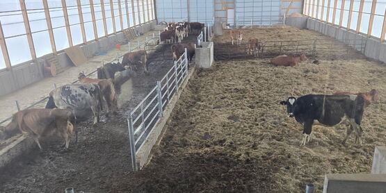 dairy barn freestell