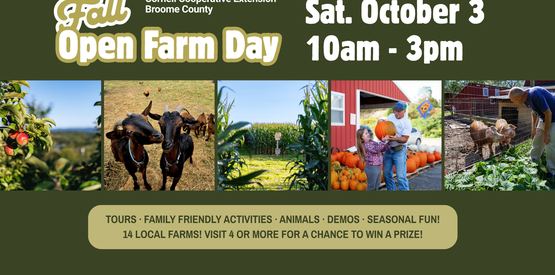 2026 Fall Open Farm Day