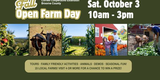 Fall Open Farm Day updated