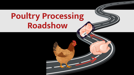BANNER Poultry Processing