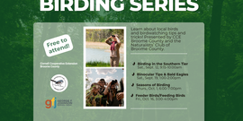 2026 Birding Series