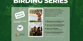 2026 Birding Series