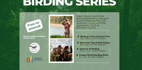 2026 Birding Series