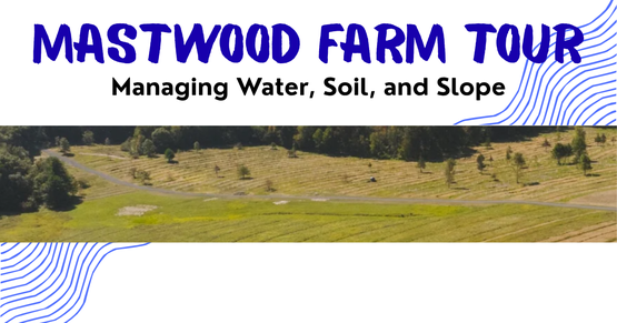 BANNER Mastwood FT