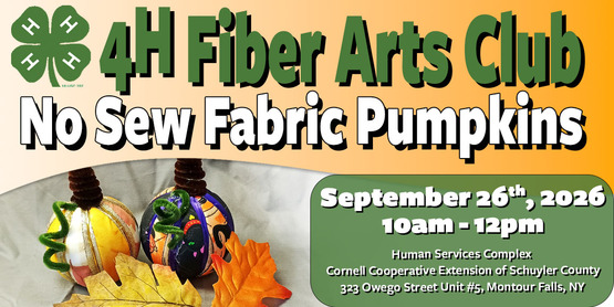 4-H Fiber Arts Banner No Sew Pumpkins