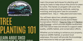 Learn the proper techniques for planting and caring for trees to help ensure they thrive for years to come. This hands-on program will cover tree selection, correct planting methods, watering, mulching, and long-term care for successful establishment.