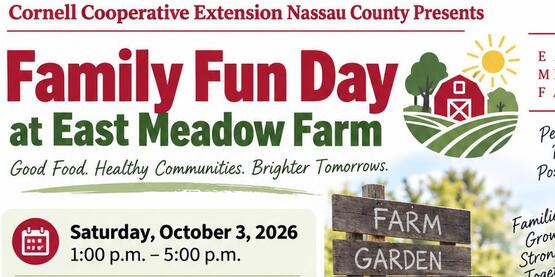 family fun day emf