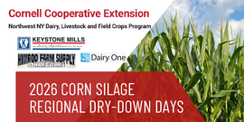 Dry Down Days 2026 flyer