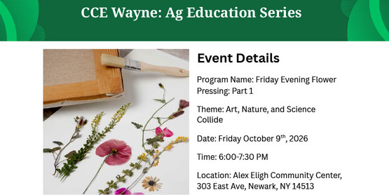 Do you love all things flowers?  Register to attend this free 2 part flower pressing class by scanning the QR code or clicking on this link https://reg.cce.cornell.edu/FlowerPressing_254
Ag educator, Josh Bowman, will discuss plant identification techniques and teach the art of flower pressing.  All materials are provided, but feel free to bring your favorite flowers from home. 
The class will be held in Newark at the Alex Eligh Community Center, 303 East Ave. 