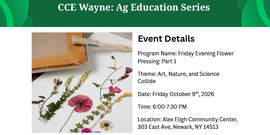 Do you love all things flowers?  Register to attend this free 2 part flower pressing class by scanning the QR code or clicking on this link https://reg.cce.cornell.edu/FlowerPressing_254
Ag educator, Josh Bowman, will discuss plant identification techniques and teach the art of flower pressing.  All materials are provided, but feel free to bring your favorite flowers from home. 
The class will be held in Newark at the Alex Eligh Community Center, 303 East Ave. 