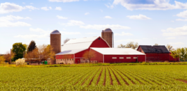 farm