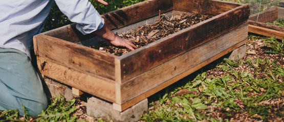 Air-prune raised bed garden