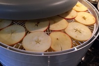 Picture of sliced apples loaded into a food dehydrator