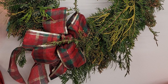The Holiday Greens Workshop is FULL and attendees are reminded that our workshop will be at a new location this year - our CCE Wayne office in Newark - 1581 Route 88N, Newark.  For questions, call 315-331-8415.  