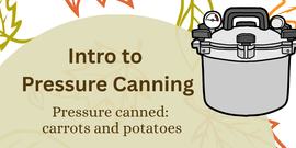 Into to Pressure Canning - Carrots and Potatoes