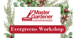 Evergreens Workshop banner 