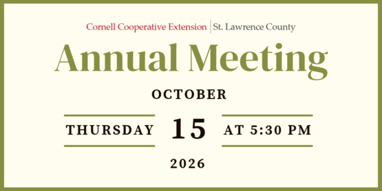 2026 Annual Meeting Graphic