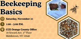 Bee Keeping Basics 2026