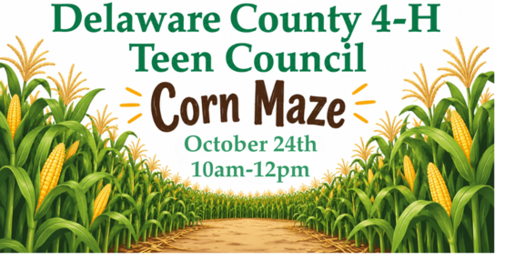 teen council