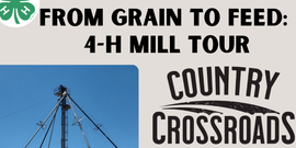 From Grain to Seed