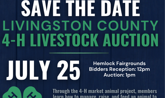2026 Livingston County 4-H Livestock Auction