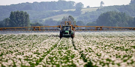 Spraying in a potato field for prevention of potato blight. Picture taken near Newark, Nottinghamshire.