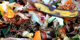 food waste / compost