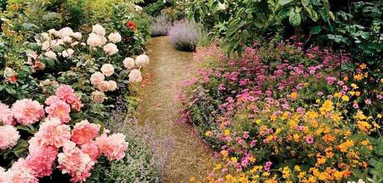 Spring Garden Symposium: Feb. 8, 2025