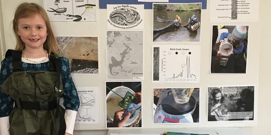 violet public presentation