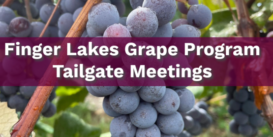 FLGP Tailgate Meetings Calendar Graphic
