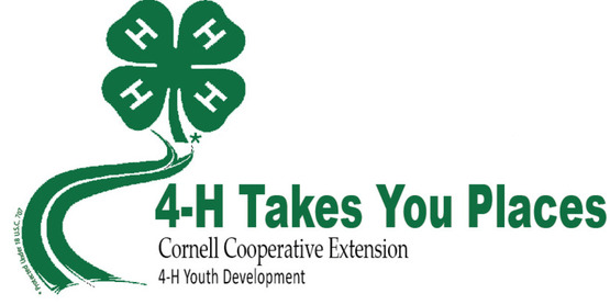 4-H Takes You Places