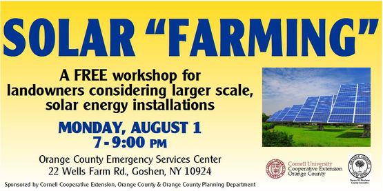 solar farming