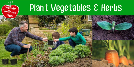 Weekly wellness Tip: May 29, 2017
Plant Vegetables & Herbs